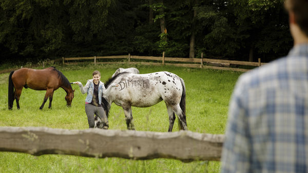 Armans Geheimnis Staffel 2 Film Dvd Blu Ray Trailer Szenenbilder